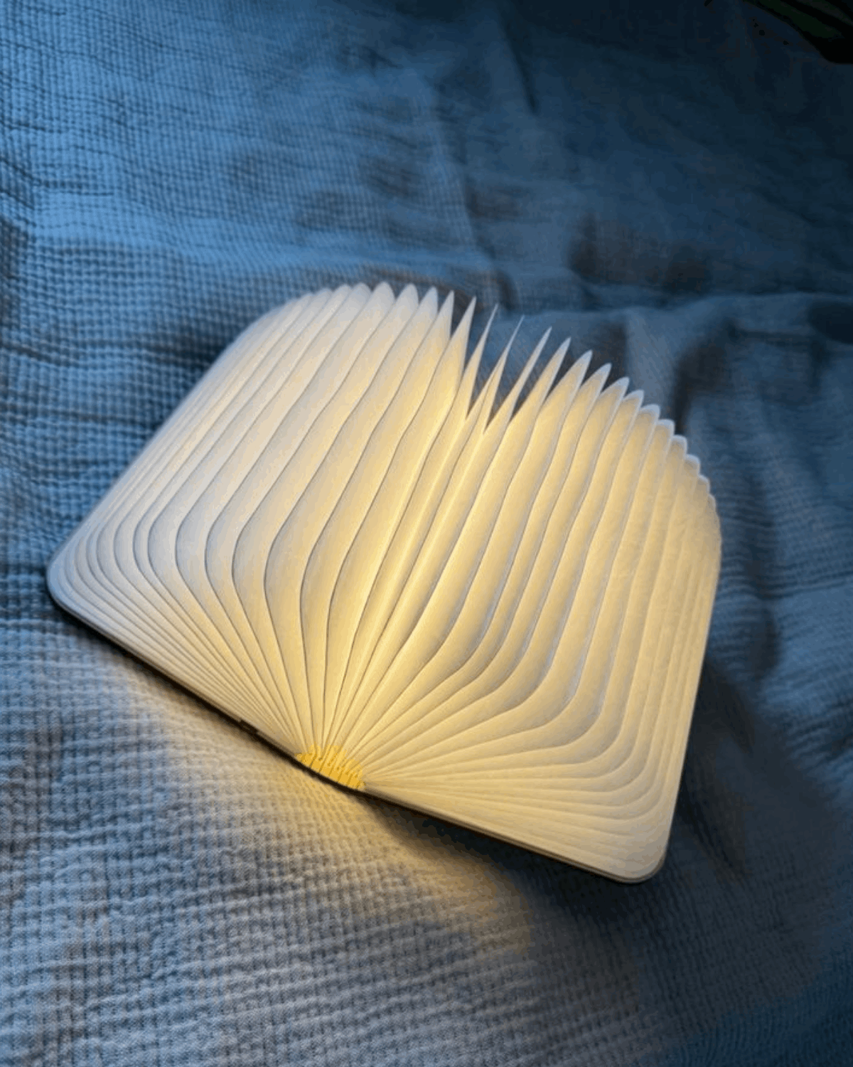 BLEIS MAGIC BOOK