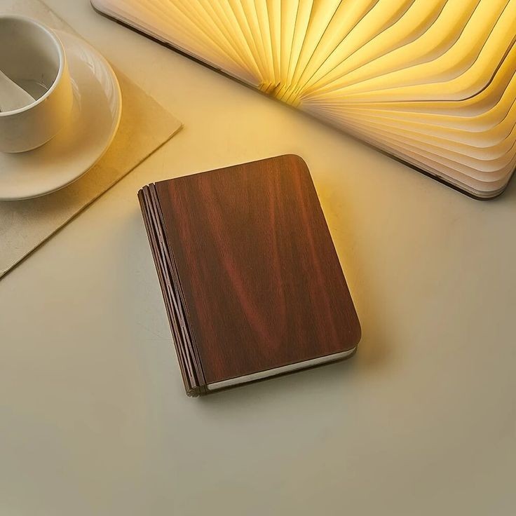 BLEIS MAGIC BOOK